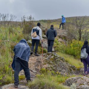 Ruri Mweria To Table Traverse