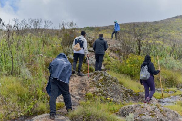 Ruri Mweria To Table Traverse